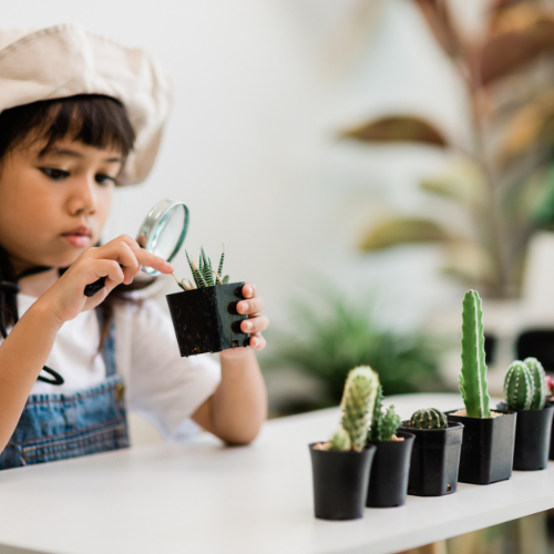 child looking at succulent through magnifying glass