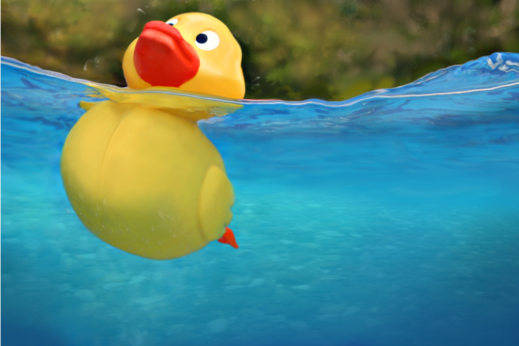 yellow rubber duck floating in blue water