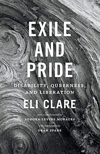 book cover for exile and pride