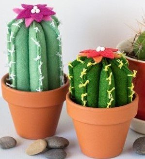 two hand sewn cacti in terra cotta pots