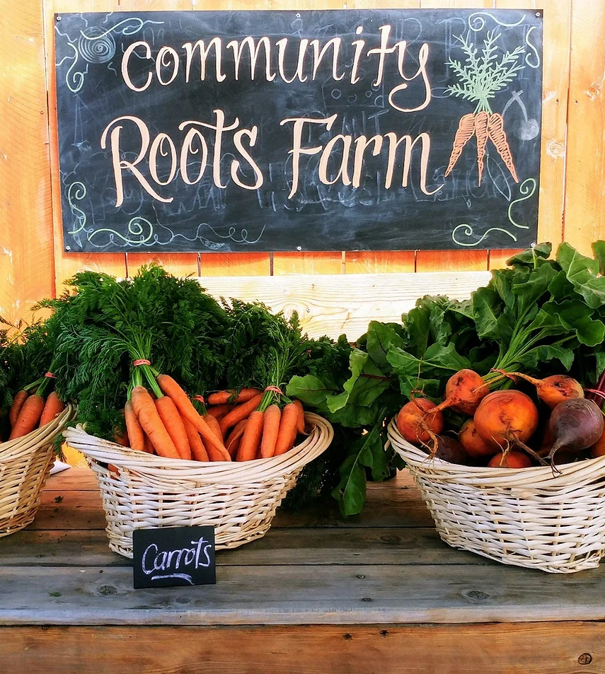 Garden table with carrots and beets on it under a blackboard sign with the words Community Roots Farm on it