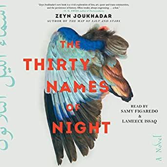 book cover for 30 names white with dead bird wing and text. 