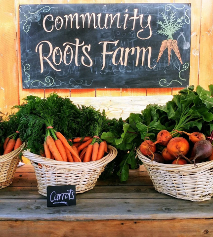 Community Roots Farm written on chalkboard