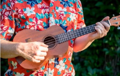 Cropped picture of somebody playing the ukulele