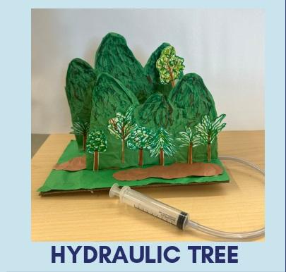 trees made of cardboard and painted and a hydraulic syringe and tubing