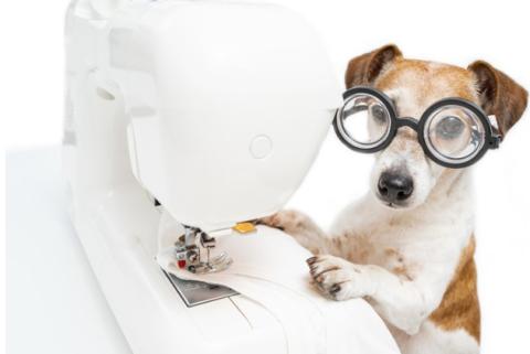brown and white dog with paws on white sewing machine