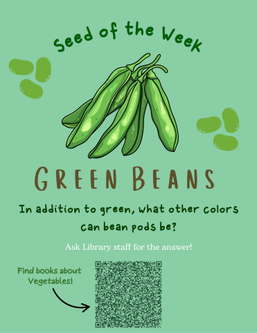 Seed of the Week: Green Beans