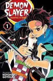 book cover for Demon Slayer, vol. 1