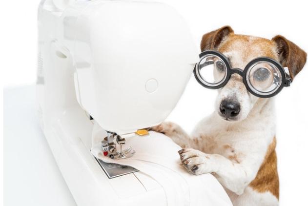 brown and white dog with paws on white sewing machine