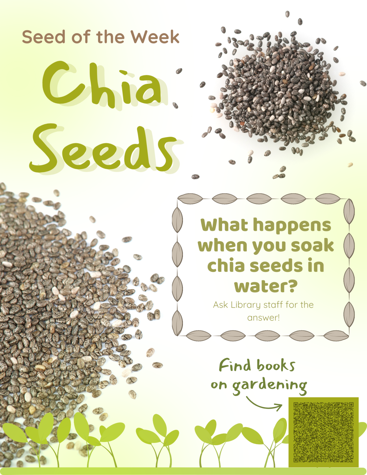 Seed of the Week: Chia