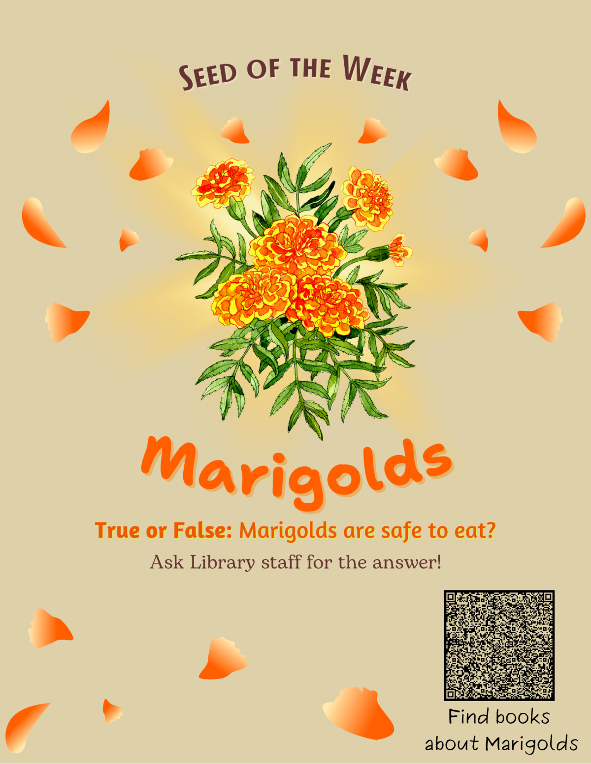 Seed of the Week: Marigolds