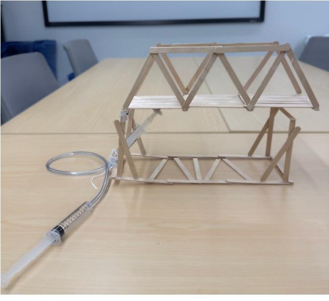 popsicle stick hydraulic bridge